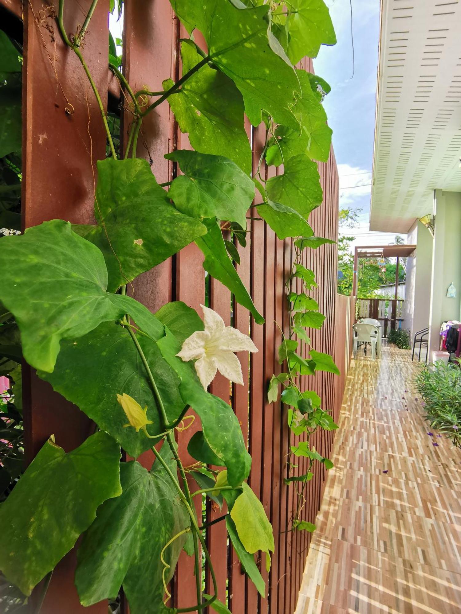 De​ Lanta Place Ko Lanta Стая снимка